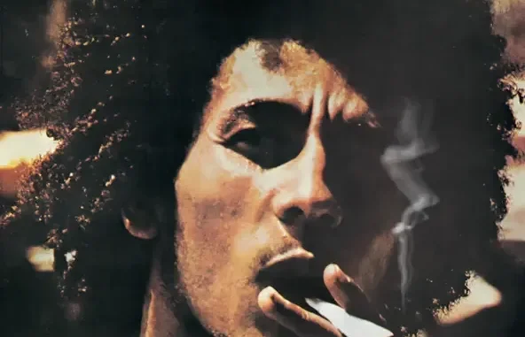 Bob Marley & The Wailers Catch A Fire (Remastered 2013) Bob Marley & The Wailers Catch A Fire (Remastered 2013)