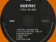 Buddynice – I Fell In Love