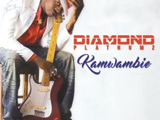 ALBUM: Diamond Platnumz – Kamwambie Diamond Platnumz – Kamwambie
