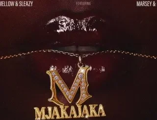 Fake'well – Mjakajaka ft Mellow, Sleazy, Marsey & Mpho Spizzy