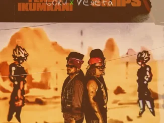 ALBUM: Flash Ikumkani & SKIIPS – GOKU & VEGETA Flash Ikumkani & SKIIPS GOKU & VEGETA