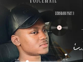 Inkosi kaVoicemail – Izinsimbi III Inkosi kaVoicemail – Izinsimbi III
