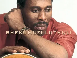 Khokha Bhekumuzi Luthuli