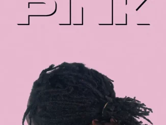 ALBUM: Lancey Foux – Pink Lancey Foux Pink