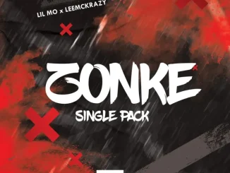 Lil Mö & LeeMcKrazy – ZONKE