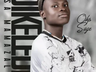 OHP Sage ft. 015 MusiQ Van City MusiQ – Up and Down OHP Sage – Up and Down ft. 015 MusiQ Van City MusiQ