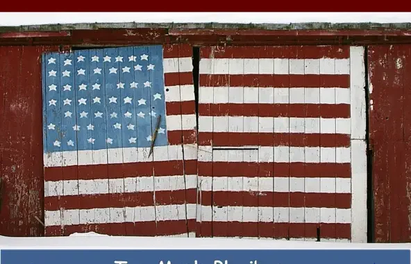 Pluribus Unum Too Much Pluribus, Not Enough Unum (Demos)
