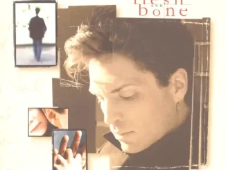 Richard Marx Flesh And Bone