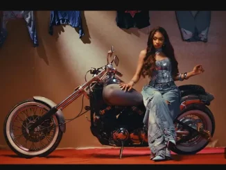 Shashl – Perfect Somebody