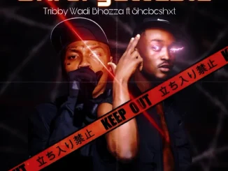 Tribby Wadi Bhozza – Unforgettable ft Shebeshxt