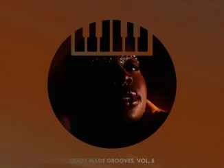 VA – Ready Made Grooves, Vol. 5