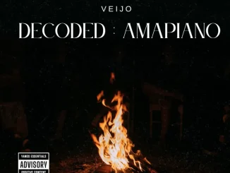Veijo – Decoded Volume 2