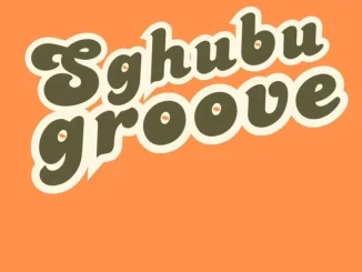 Vusinator – Sghubu Groove