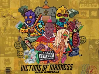 ALBUM: Wakadinali – Victims of Madness Wakadinali Victims Of Madness