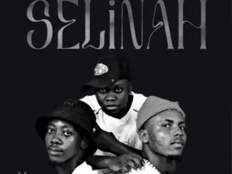 Wayne ft Tango & SlowburnSA – Selinah Wayne – Selinah ft Tango & SlowburnSA