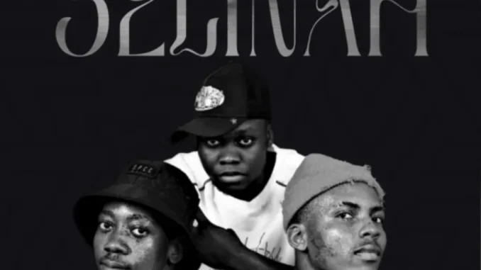 Wayne – Selinah ft Tango & SlowburnSA Wayne – Selinah ft Tango & SlowburnSA