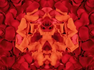 ALBUM: Yelawolf & J. Michael Phillips – Whiskey & Roses Yelawolf & J. Michael Phillips Whiskey & Roses