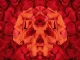 Yelawolf & J. Michael Phillips Whiskey & Roses